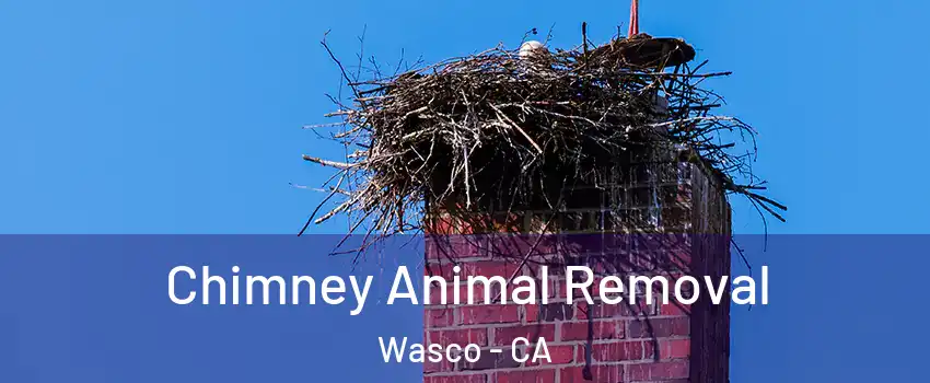  Chimney Animal Removal Wasco - CA