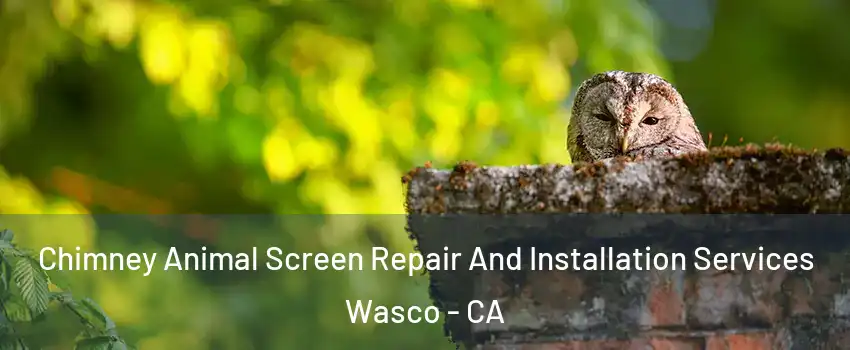  Chimney Animal Screen Repair And Installation Services Wasco - CA