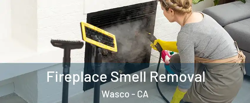  Fireplace Smell Removal Wasco - CA