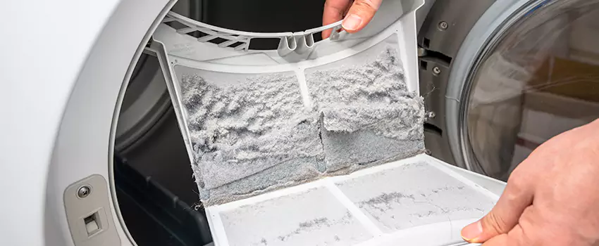 Best Dryer Lint Removal Company in Wasco, California