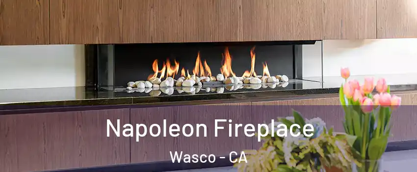  Napoleon Fireplace Wasco - CA